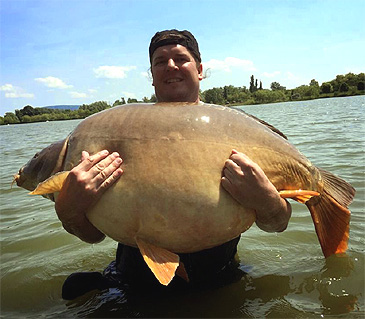 782_Euro-Aqua Lake_Common Carp_Cyprinus carpio carpio.jpg 782_Euro-Aqua Lake_Common Carp_Cyprinus carpio carpio.jpg